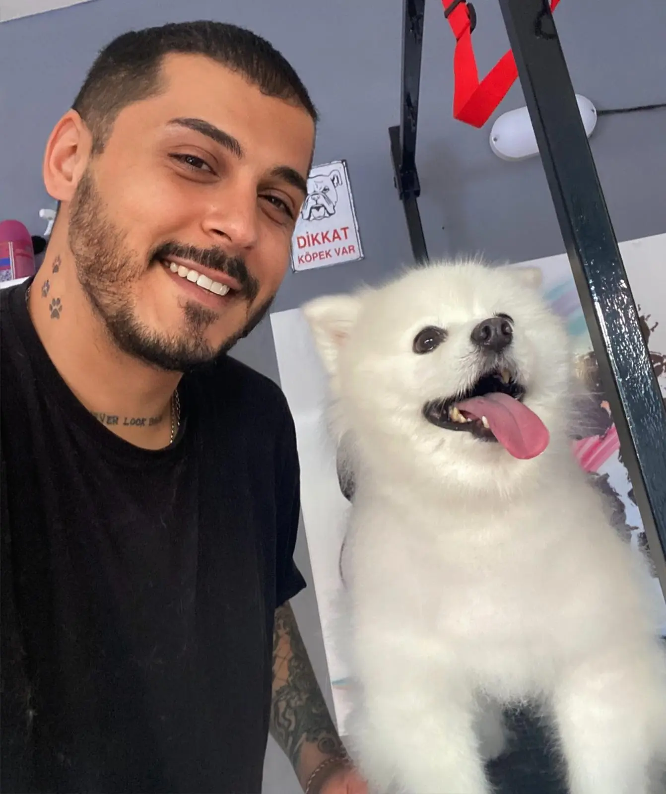 Üsküdar Pet Kuaför - Köpek Yıkama ve Bakım Hizmeti